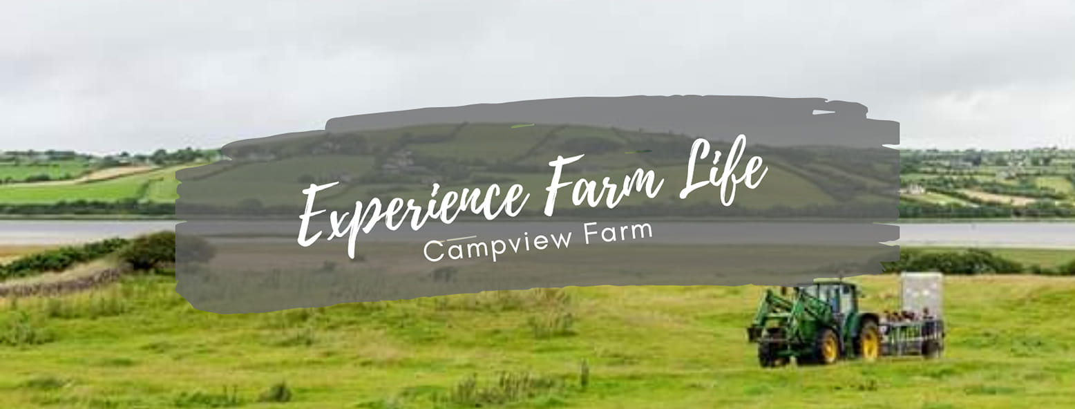 campview farm