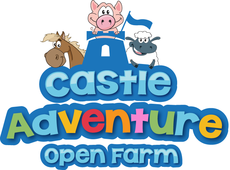 castle adventure open farm