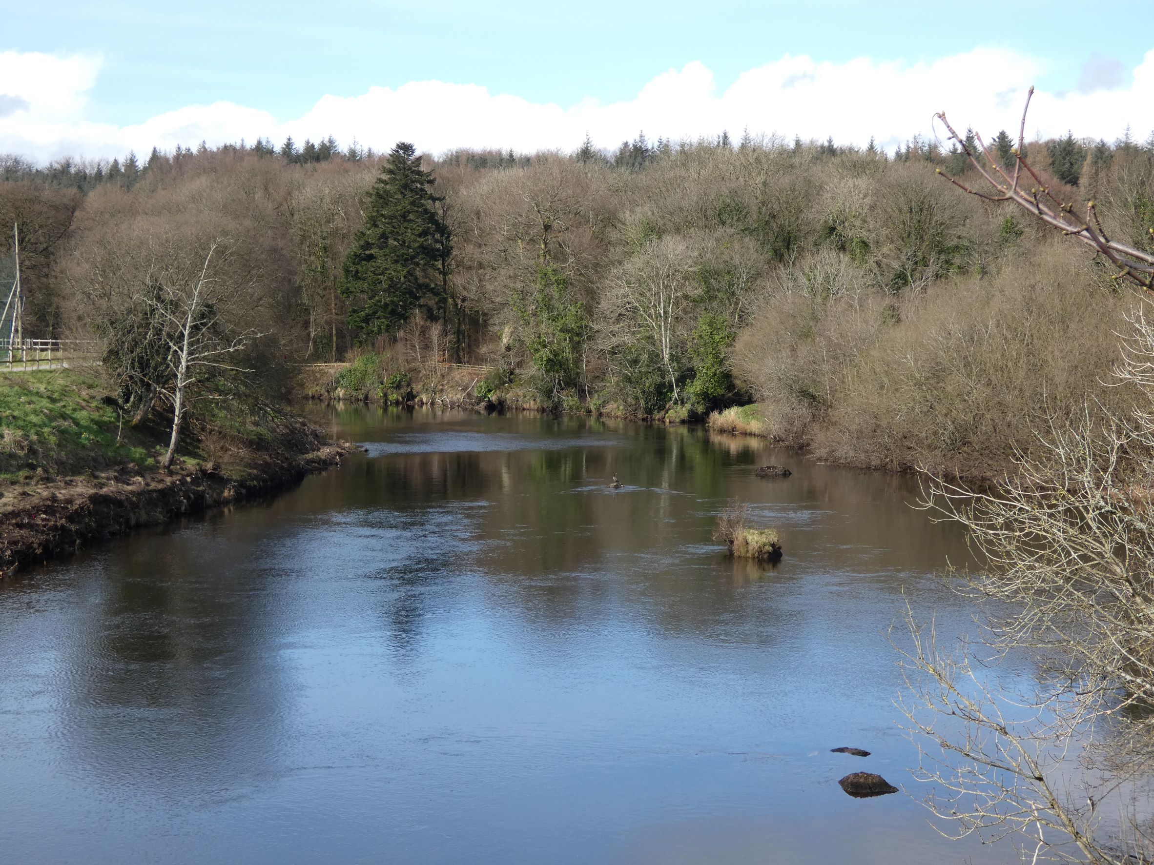 Ballybofey river walk 1