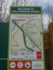 Ballykeeran Forest Trail