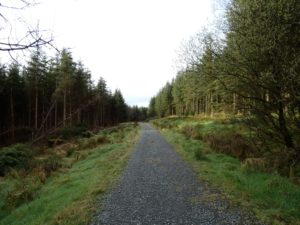 Corravaddy Woodland Walk