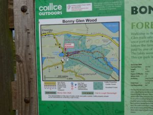 Bonny Glen Woods