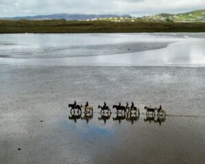 Carrigart Riding Stables