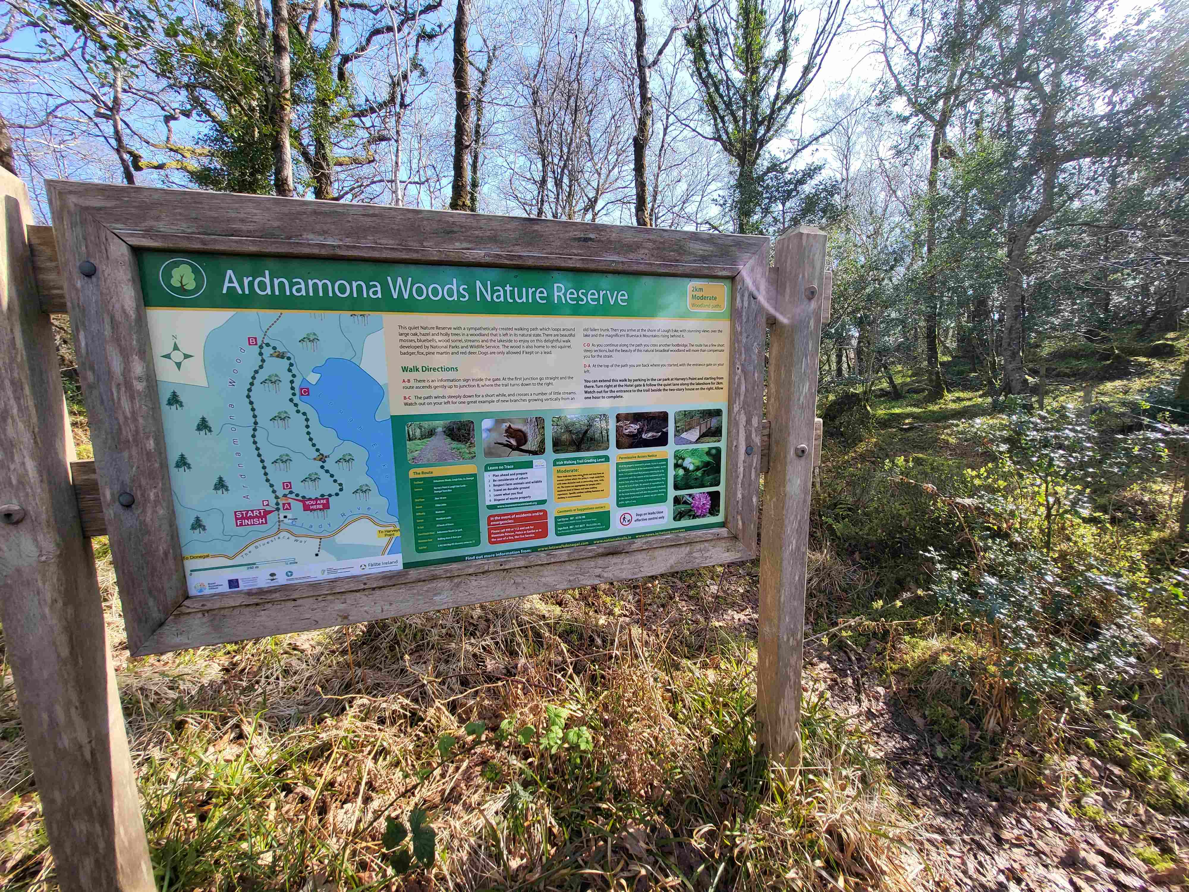 ardnamona woods 1