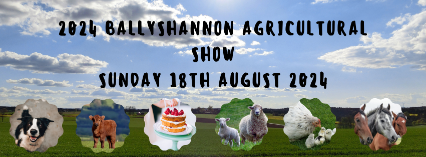 ballyshannon agricultural show